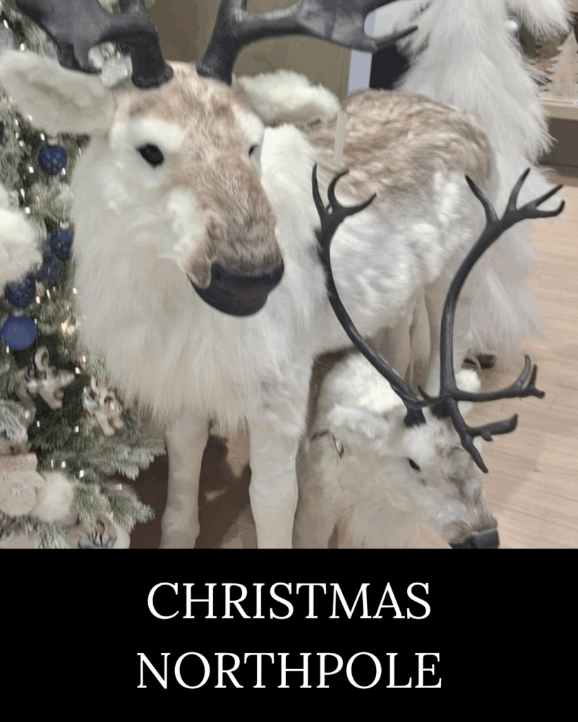 Christmas Northpole